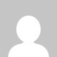 Cerco barboncino adulto   Image of 81a7461869e71f343b3e20bfdfd64d8b