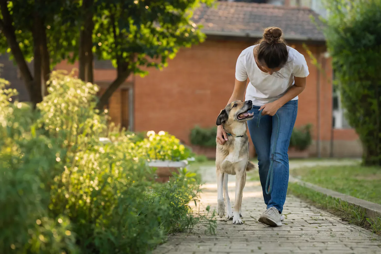 Volontaria con un cane meticcio in un rifugio