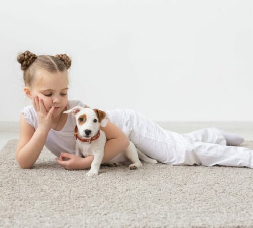 Il Cane come Supporto Psicologico: Un Legame Empatico e Terapeutico