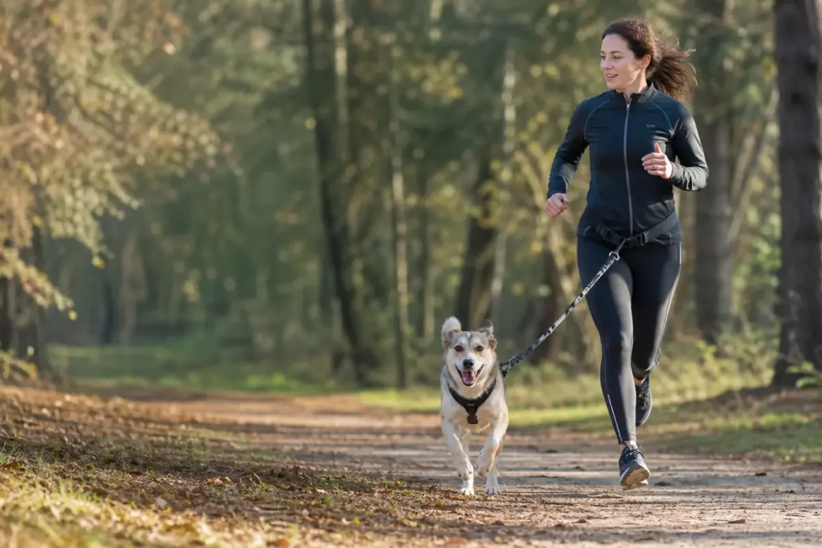 Persona che corre con il cane usando una pettorina adatta allo sport