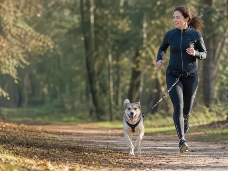 Persona che corre con il cane usando una pettorina adatta allo sport