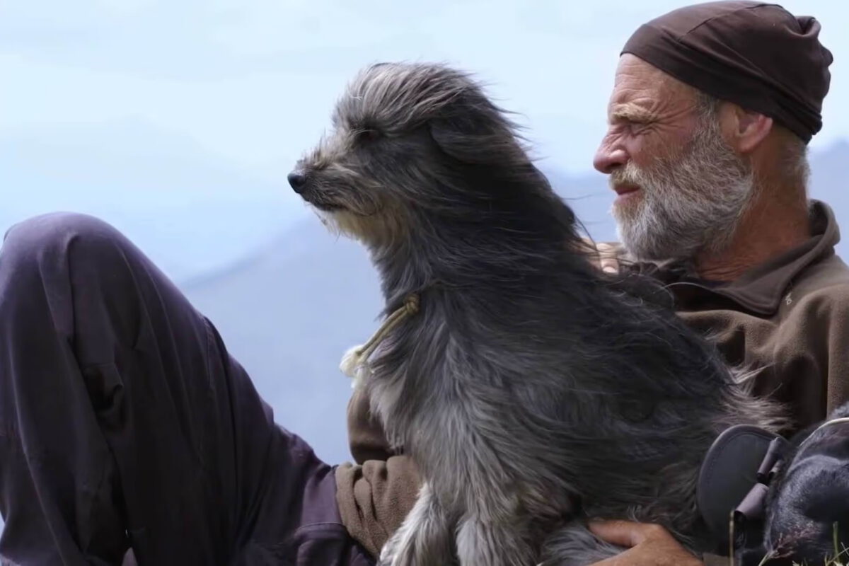 Adaptil: La Soluzione per Tranquillizzare il Tuo Cane Ansioso