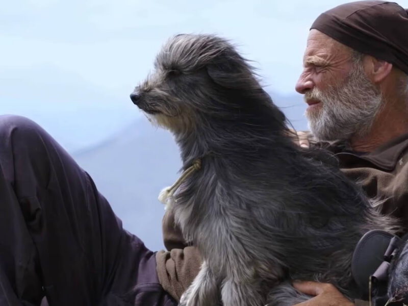 Adaptil: La Soluzione per Tranquillizzare il Tuo Cane Ansioso