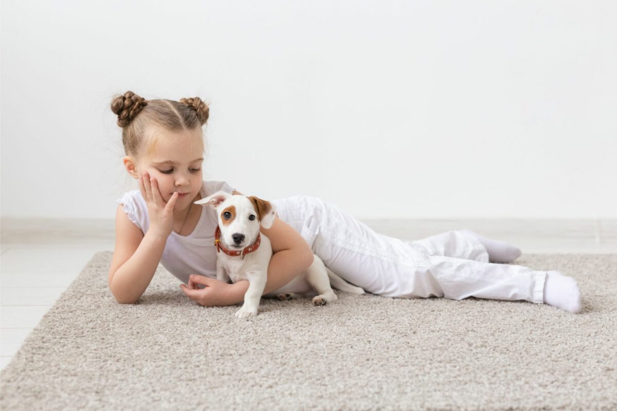 Il Cane come Supporto Psicologico: Un Legame Empatico e Terapeutico