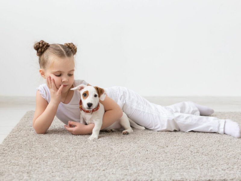 Il Cane come Supporto Psicologico: Un Legame Empatico e Terapeutico