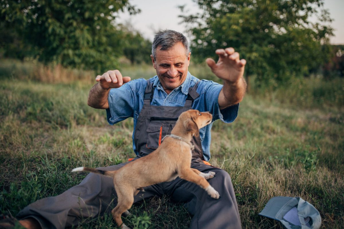 L’influenza positiva dei cani sulla salute cardiaca: una prospettiva dettagliata