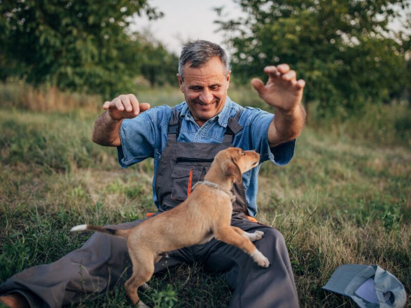 L’influenza positiva dei cani sulla salute cardiaca: una prospettiva dettagliata