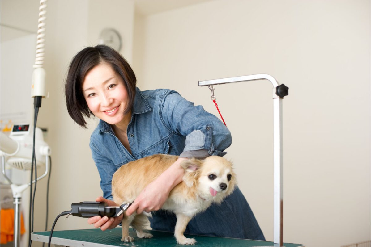 Tosare il Pelo del Cane: Tecniche e Consigli per una Toelettatura Perfetta
