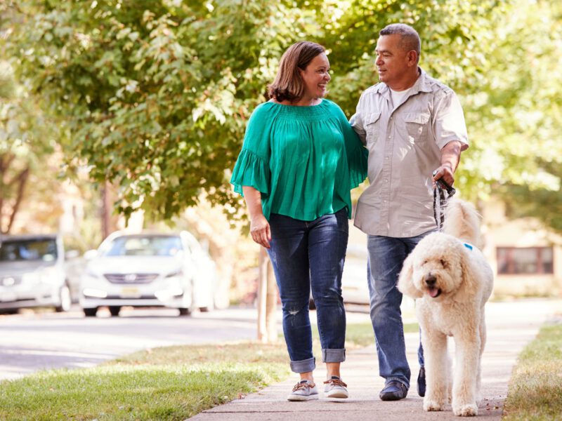 I Cani Fiutano il Diabete: Scopri Come Aiutano i Pazienti