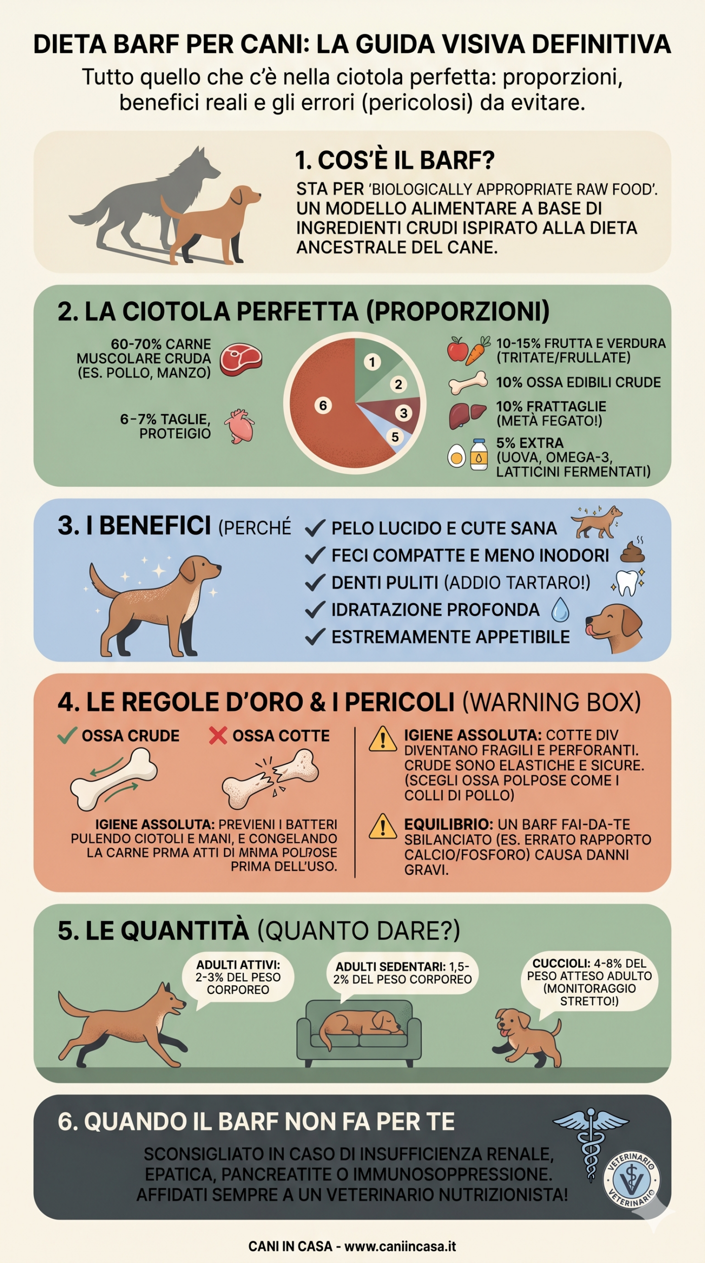 Dieta BARF per Cani: Guida Completa 2026 — Benefici, Rischi e Come Iniziare   Image of Gemini Generated Image axjzpiaxjzpiaxjz scaled