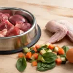 Sterilizzare il cane: quando farlo, i veri benefici e cosa aspettarsi dopo l'intervento   Image of ingredienti dieta barf cani 150x150