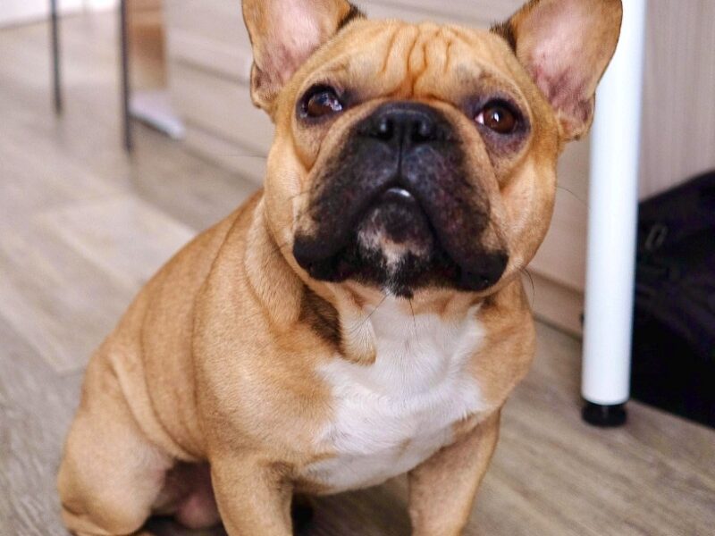 George