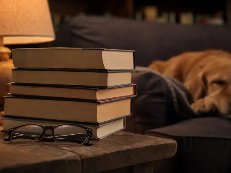 10 Romanzi da Leggere per Amanti dei Cani