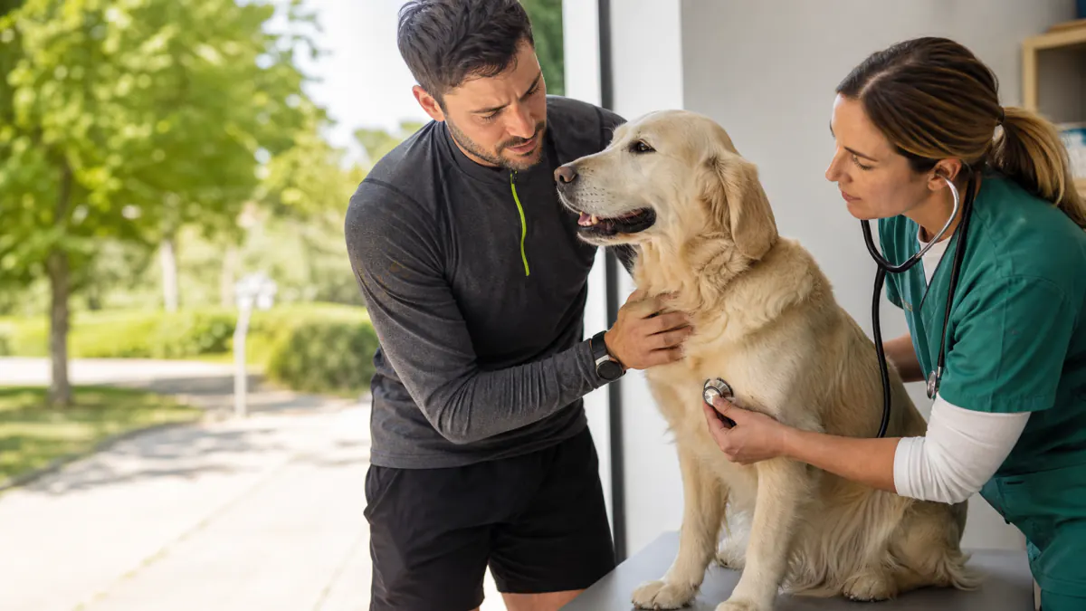 cane tossisce dopo corsa - cane che tossisce dopo la corsa