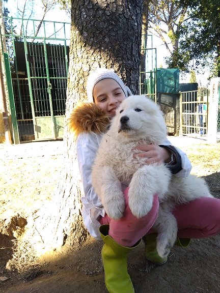 Cuccioli Maremmani Abruzzesi