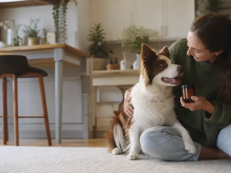 integratori articolazioni cane - integratori articolari per il cane