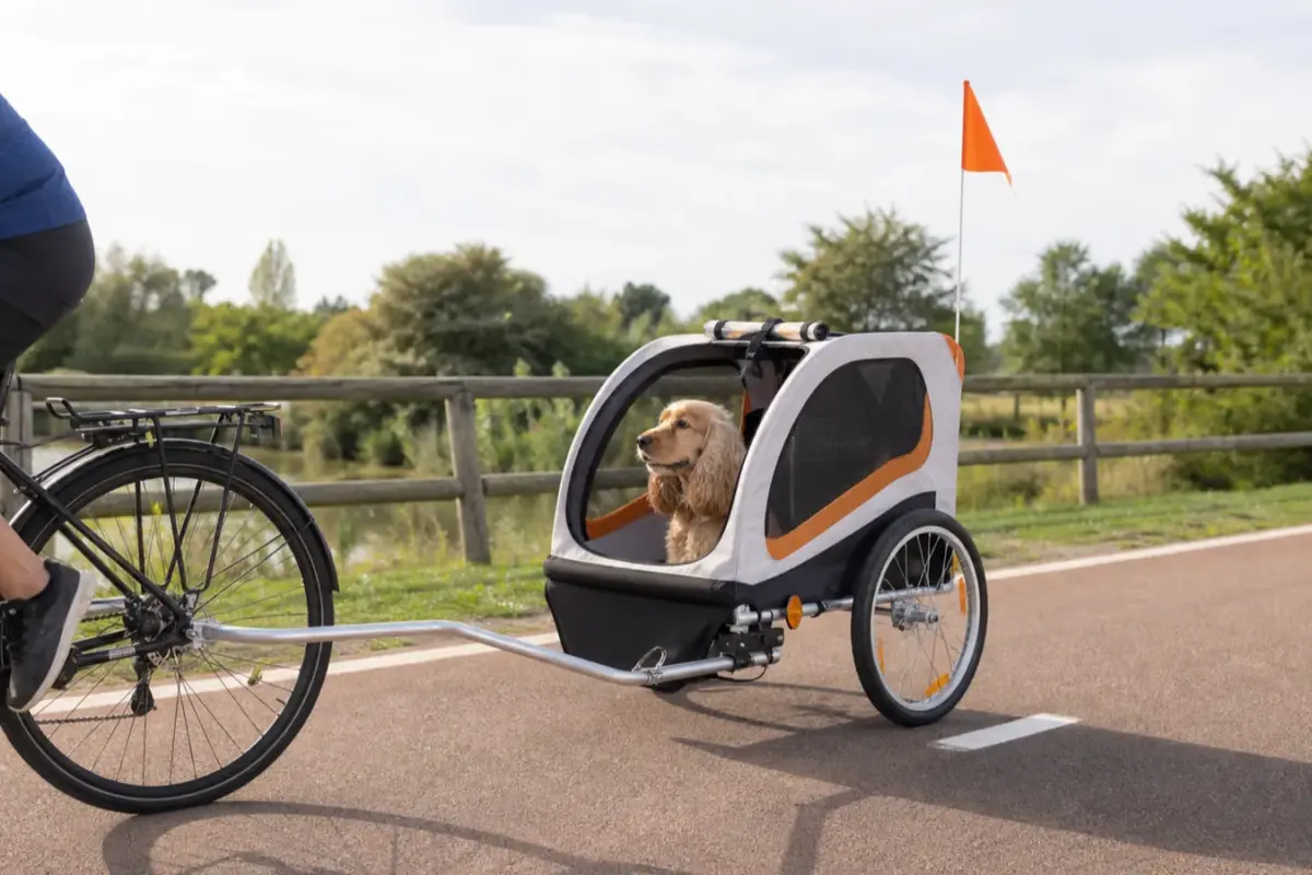 Cane con rimorchi da bicicletta per cani in una situazione d'uso realistica - rimorchio bici per cani