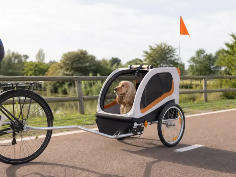 Cane con rimorchi da bicicletta per cani in una situazione d'uso realistica - rimorchio bici per cani