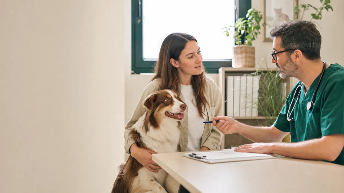 Veterinario di fiducia