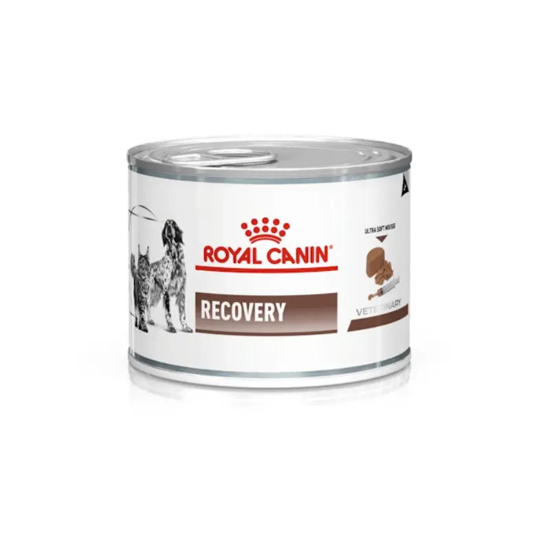 Royal Canin V-Diet Recovery per Cani e Gatti – 195 g