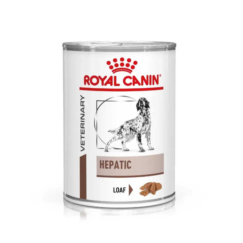 Royal Canin Cane V-Diet Hepatic Umido – 420 g