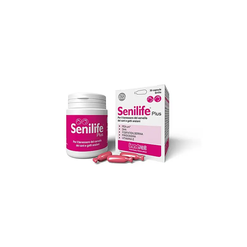 Innovet Senilife Plus per Cani e Gatti Anziani – 30 caps