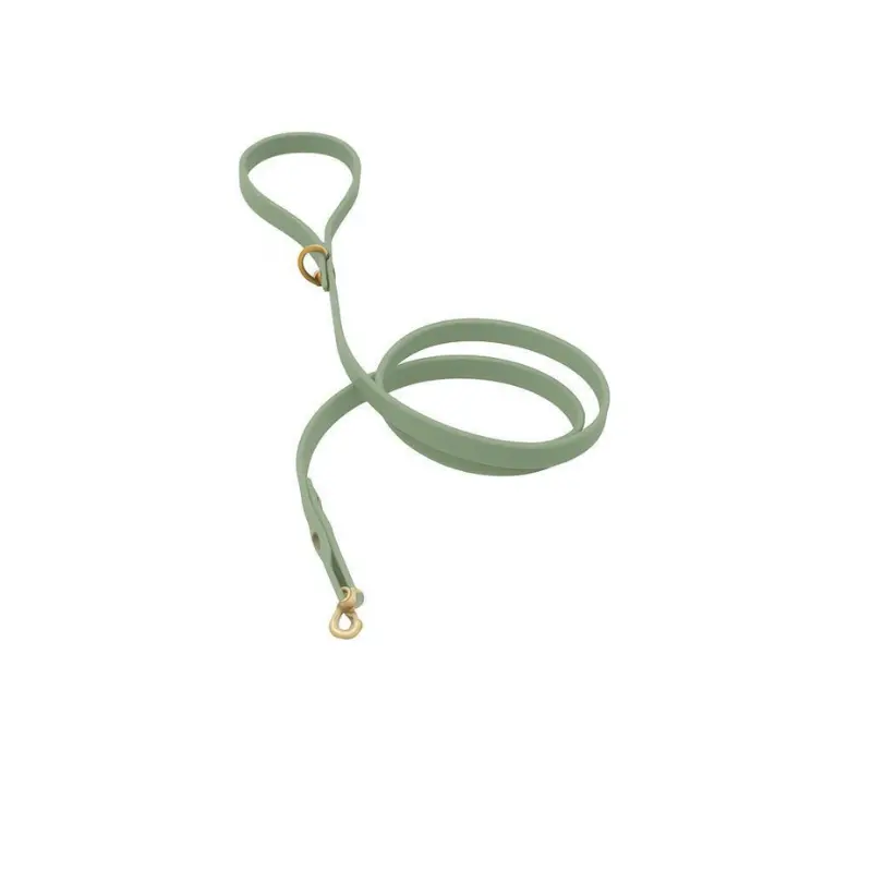 Pet Cherie Classic Biothane Lead/Gold Foggy Green – L