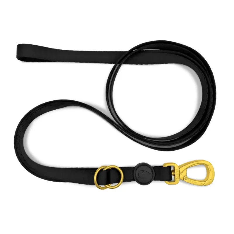 Morso Guinzaglio Gold Caviar Nero – L
