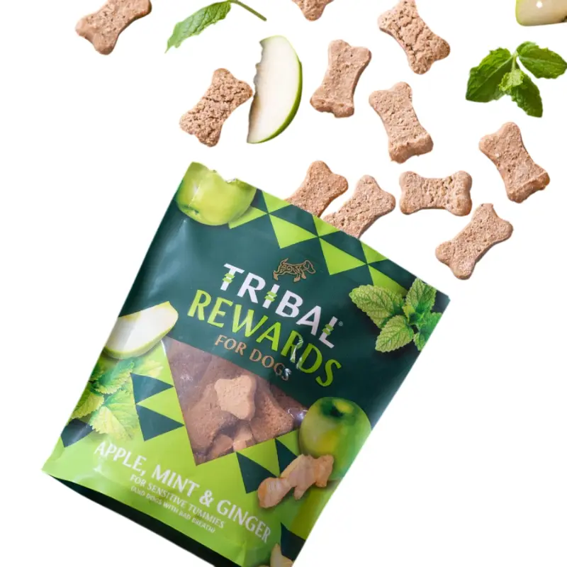 Tribal Snack Mela, Menta e Zenzero per cani – 125 g