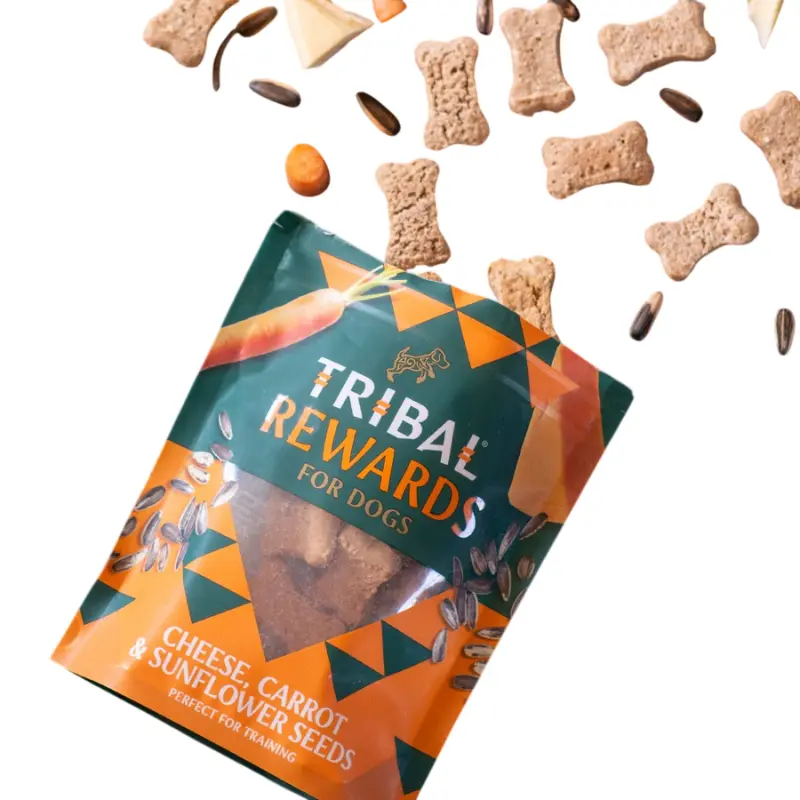 Tribal Snack Formaggio, Carote e Semi di girasole – 125 g