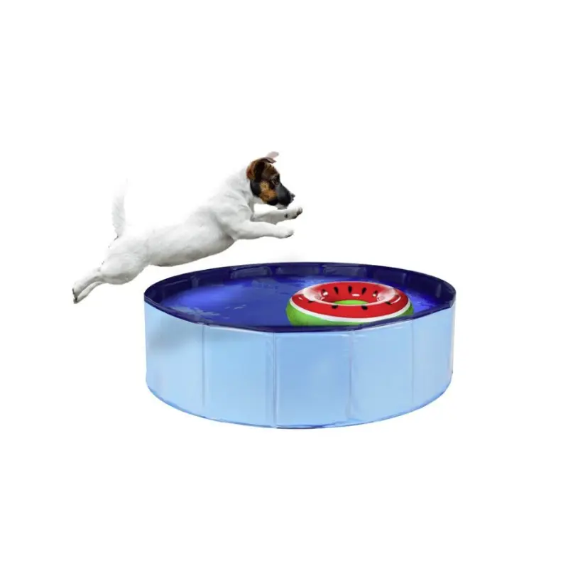 Leopet Piscina per Cani – 255 Lt