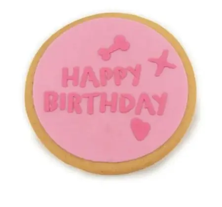 LeoPet Torta di Compleanno Happy Birthday Rosa – 90 g