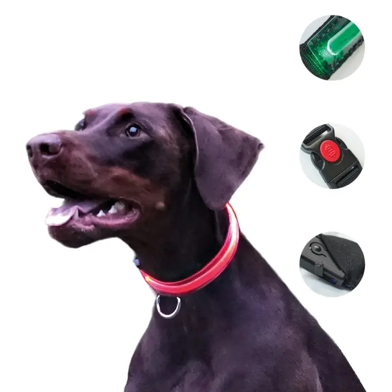 Petty Italia Collare Nylon Led per Cani – XL