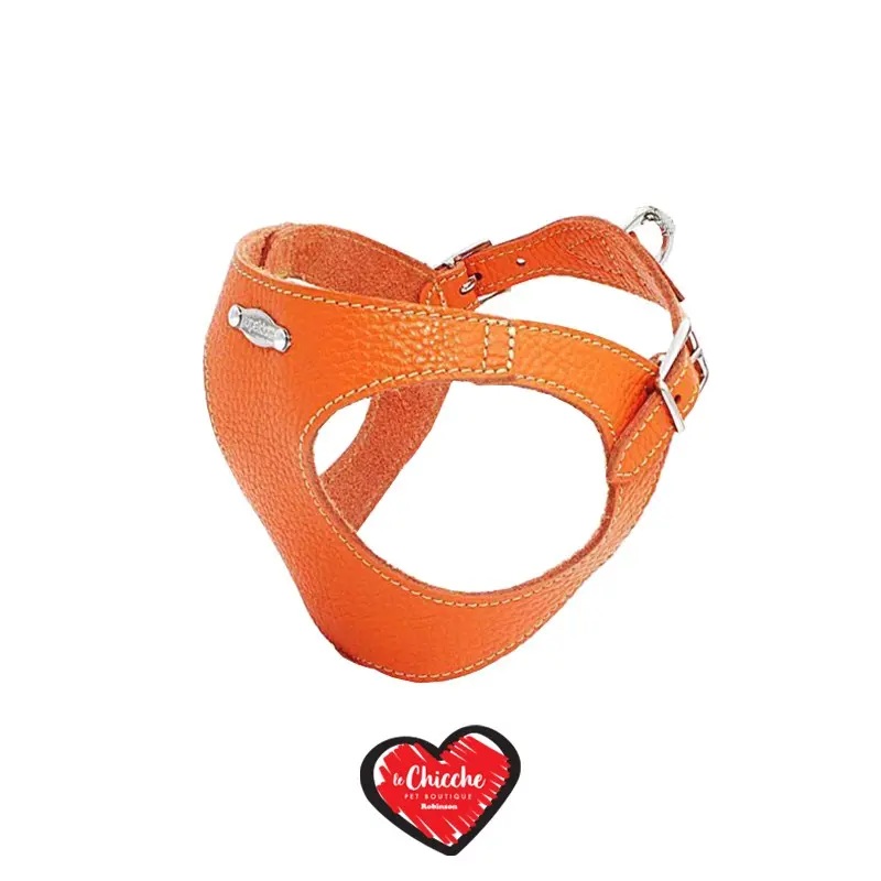 Pupakiotti Pettorina Basic Arancione – XL – XXL