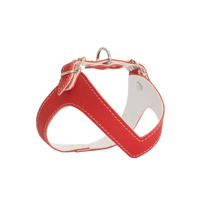Rich Dog Pettorina Kite Colore Rosso – XL