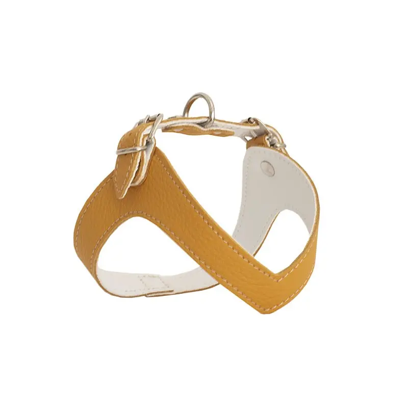Rich Dog Pettorina Kite Color Cornflake – XL