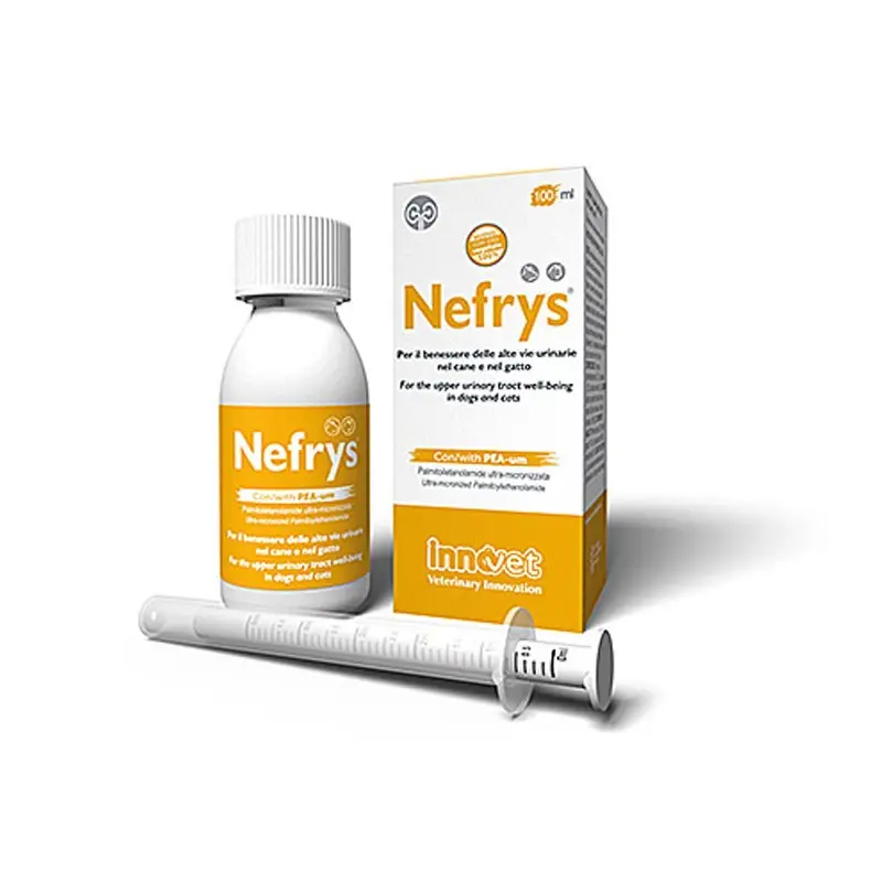 Innovet Nefrys Alte Vie Urinarie – 100 ml